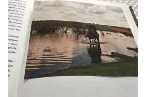 Boek van Braziliè prachtig land om te reizen de moeite waard