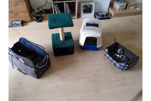 Kattenuitzet