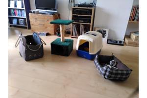 Kattenuitzet