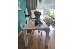 Big white table