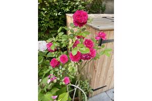 Vuilcontainer Opslag