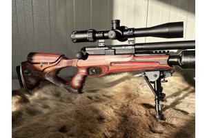 BSA R-10 SE 4,5mm Custom HFT-FT Ready