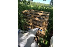 24 gebruikte pallets