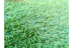 Kunstgras 348 x 287 cm