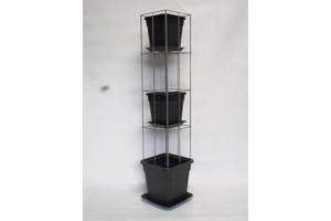 AARDBEIEN TOREN of met framboos bessen en ander kleinfruit