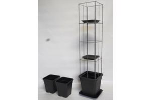 AARDBEIEN TOREN of met framboos bessen en ander kleinfruit