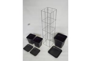 AARDBEIEN TOREN of met framboos bessen en ander kleinfruit