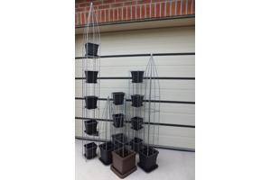 AARDBEIEN TOREN of met framboos bessen en ander kleinfruit