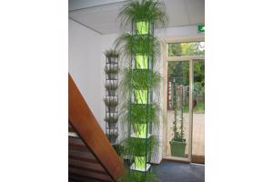 AARDBEIEN TOREN of met framboos bessen en ander kleinfruit