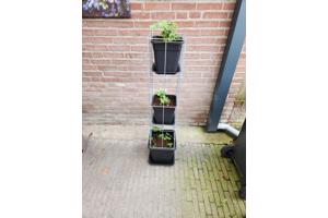 AARDBEIEN TOREN of met framboos bessen en ander kleinfruit
