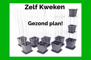 AARDBEIEN TOREN of met framboos bessen en ander kleinfruit