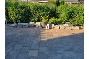 50 stoeptegels