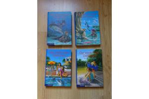 Op zoek naar dolfijnen : storm op komst DOLFIJN 10+