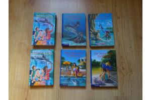 Op zoek naar dolfijnen : storm op komst DOLFIJN 10+