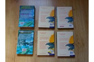 Op zoek naar dolfijnen : storm op komst DOLFIJN 10+