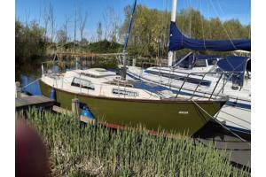 Prachtige Tamarisk 24 Gaff Cutter &quot;Jocus&quot; Te Koop