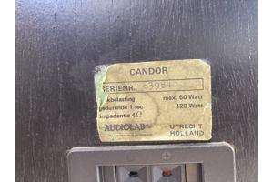 Audiolab Candor stereo speakers