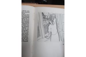 Gerard Walschap  -  De Consul