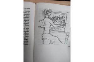 Gerard Walschap  -  De Consul