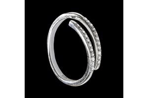 ring van Laura Ferini