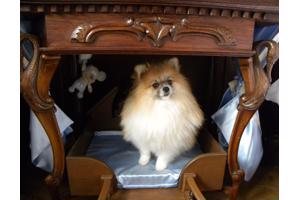 Eikenhouten honden hemelbed