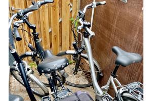 Partij Flyer Elektrische Fietsen + Van Raam Balance €2900