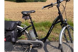 Partij Flyer Elektrische Fietsen + Van Raam Balance €2900