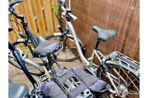 Partij Flyer Elektrische Fietsen + Van Raam Balance €2900