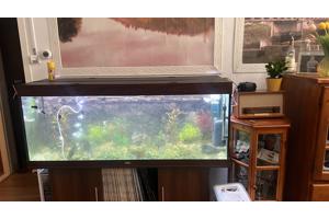 Juwel aquarium