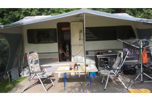 isabella sun blue luifel