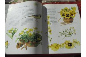 M. Bastin en Fr. Buissink  -  Vier Seizoenen