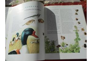 M. Bastin en Fr. Buissink  -  Vier Seizoenen