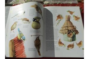 M. Bastin en Fr. Buissink  -  Vier Seizoenen