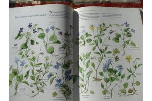 M. Bastin en Fr. Buissink  -  Vier Seizoenen