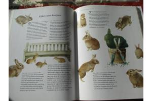 M. Bastin en Fr. Buissink  -  Vier Seizoenen