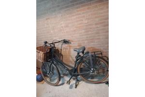 Cortina u4 dames transport  fiets