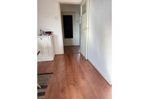 Laminaatvloer Krono Swiss 68m2 incl 79m plint