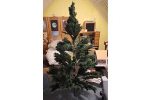 Kerst Boom 175Cm.