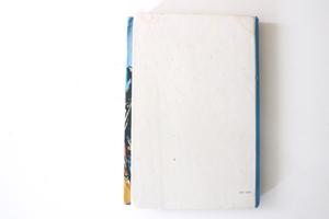 Verdere avonturen van Robin Hood - Henri van Hoorn 122 blz.