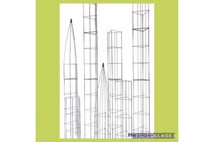 PLANTENSTEUN rozen roos tuinrozen klimrozen clematis hedera