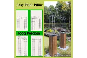 PLANTENSTEUN rozen roos tuinrozen klimrozen clematis hedera