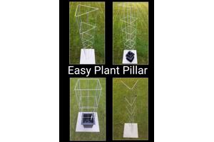 PLANTENSTEUN rozen roos tuinrozen klimrozen clematis hedera