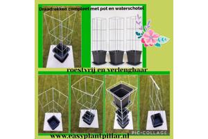 PLANTENSTEUN rozen roos tuinrozen klimrozen clematis hedera