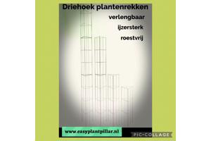 PLANTENSTEUN rozen roos tuinrozen klimrozen clematis hedera