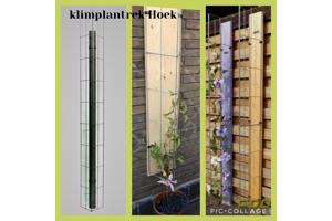 PLANTENSTEUN rozen roos tuinrozen klimrozen clematis hedera