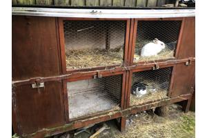 Houten konijnenhotel / konijnenhok