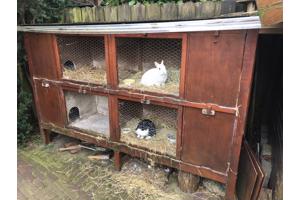 Houten konijnenhotel / konijnenhok