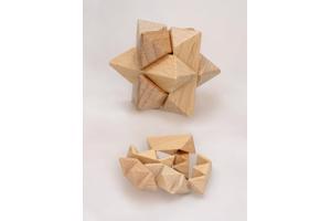 Set van 12 houten IQ puzzels echte hersenkrakers / breinbrek