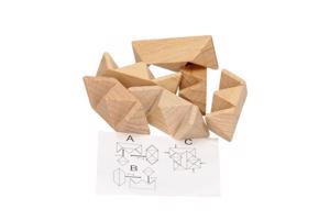 Set van 12 houten IQ puzzels echte hersenkrakers / breinbrek