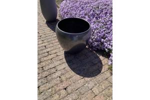 Diverse bloempotten